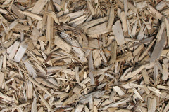 biomass boilers Tredomen