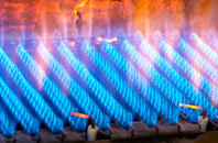 Tredomen gas fired boilers